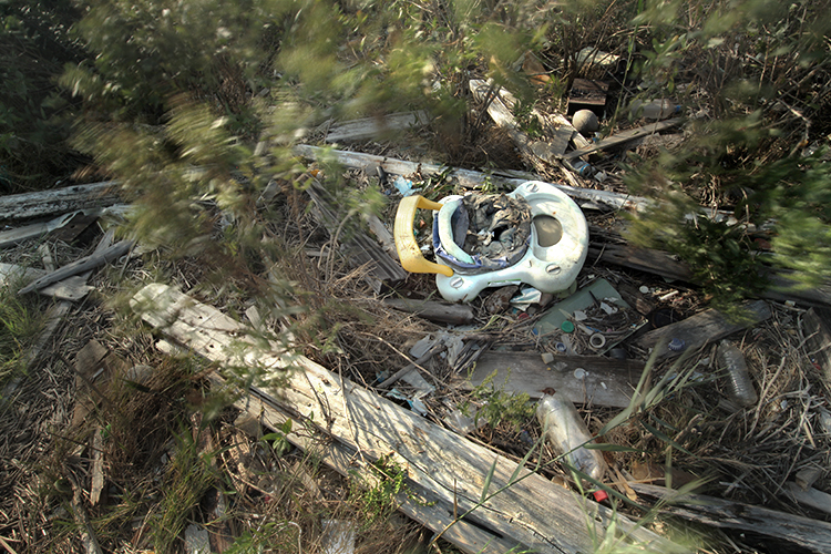 A toy car abandoned in the marsh