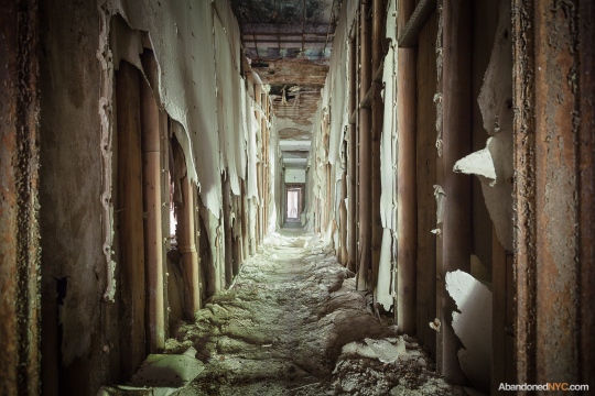 North Brother Island_Abandoned NYC_Will Ellis_18